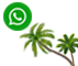 WhatsApp Us